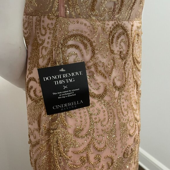 Glamorous Blush Maxi Dress with Feather Accents - Picture 8 of 10